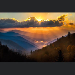 Meet your Posher, Katelyn